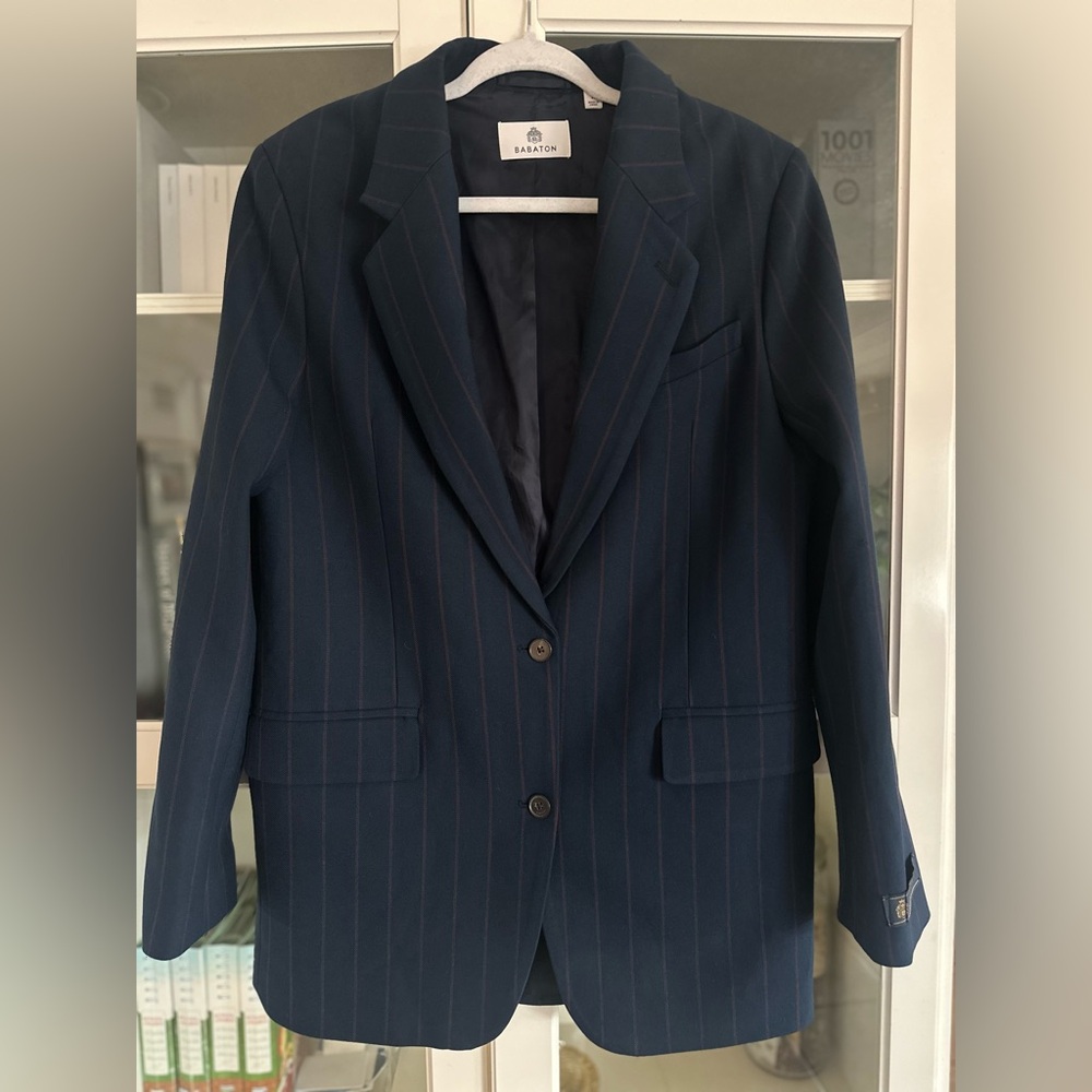 Aritzia Babaton AGENCY Relaxed Single Breasted Blazer size medium EUC